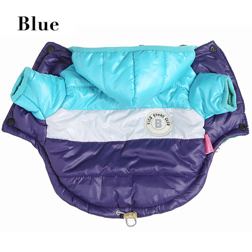 Winter Bomber Dog Jacket