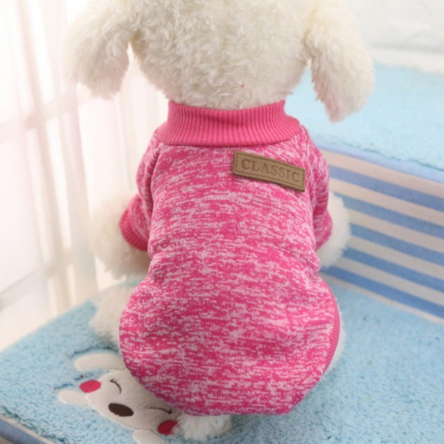 Chihuahua Cotton Jacket