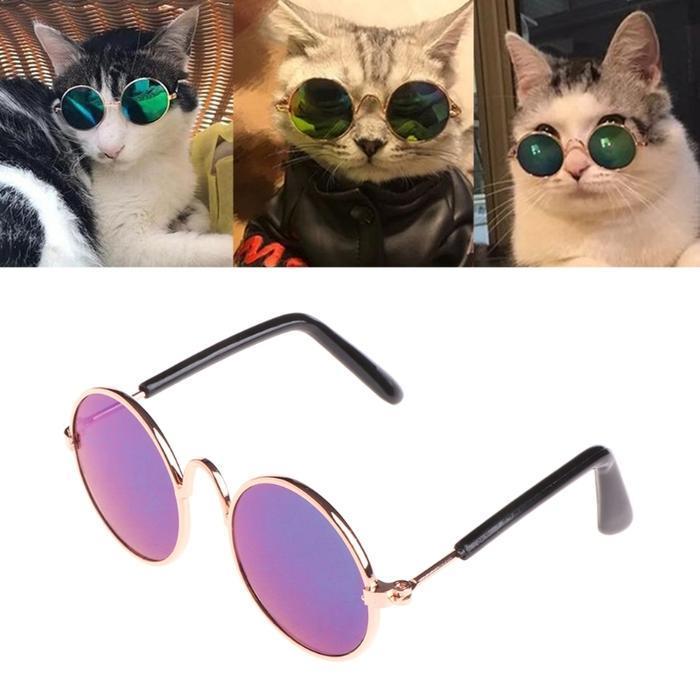 Cat Lennon Glasses